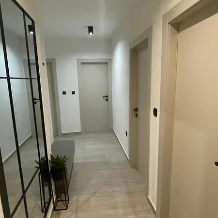 Roko * 스타리그라드 파클레니차