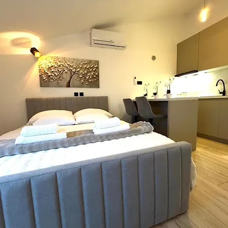 Apartment Roko